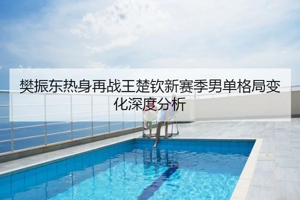 樊振东热身再战王楚钦新赛季男单格局变化深度分析